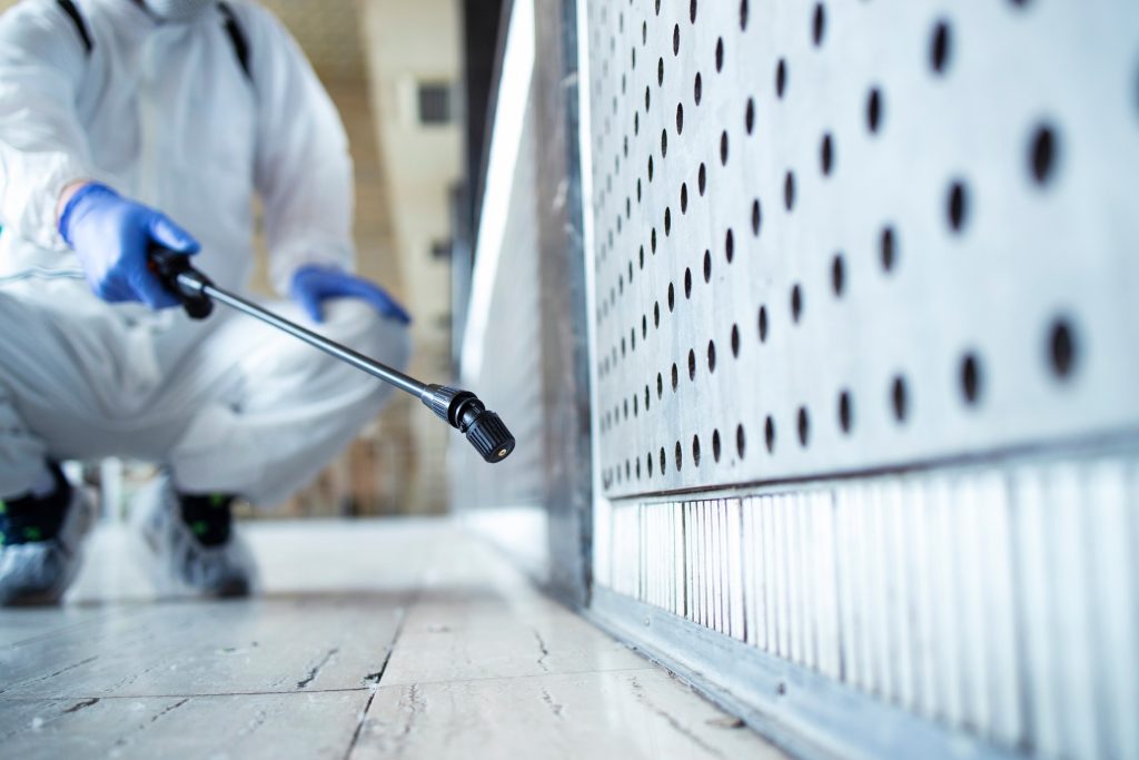 Is Spray Foam Insulation Pest Resistant