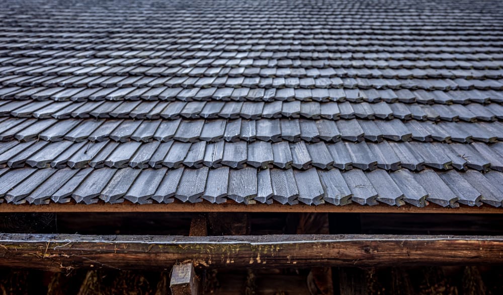 Single-Ply Roofing