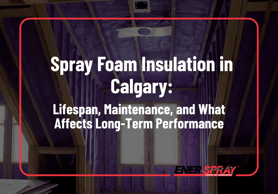 Spray Foam Insulation